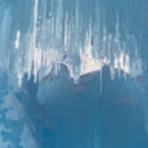 Meet your Posher, Lily